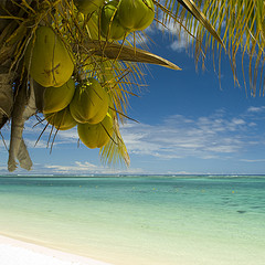 mauritius honeymoon packages from Delhi mumbai